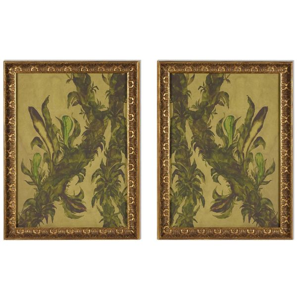 Epiphytes Diptych